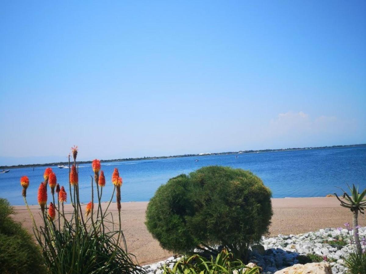 Appartement 4 Pers - Le Barcares - Piscine, Parkings, Terrains De Sport, Fitness - Fr-1-195-25 Buitenkant foto